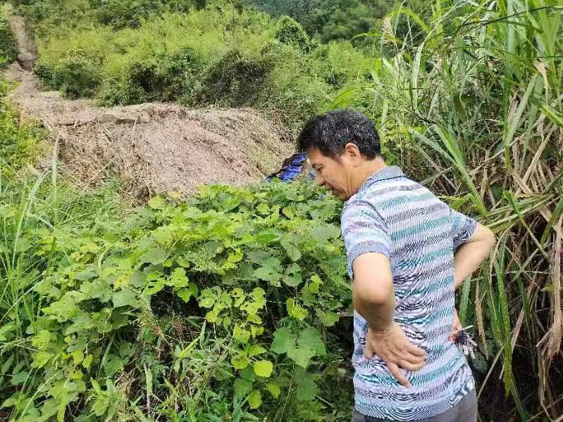 【四色党建·争当红色先锋（九）】仇三如：驻村实“助村”，真心促“振兴”
