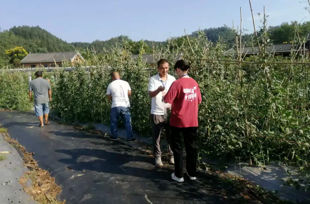 加义镇：中秋节前食品安全检查   守护舌尖上的安全