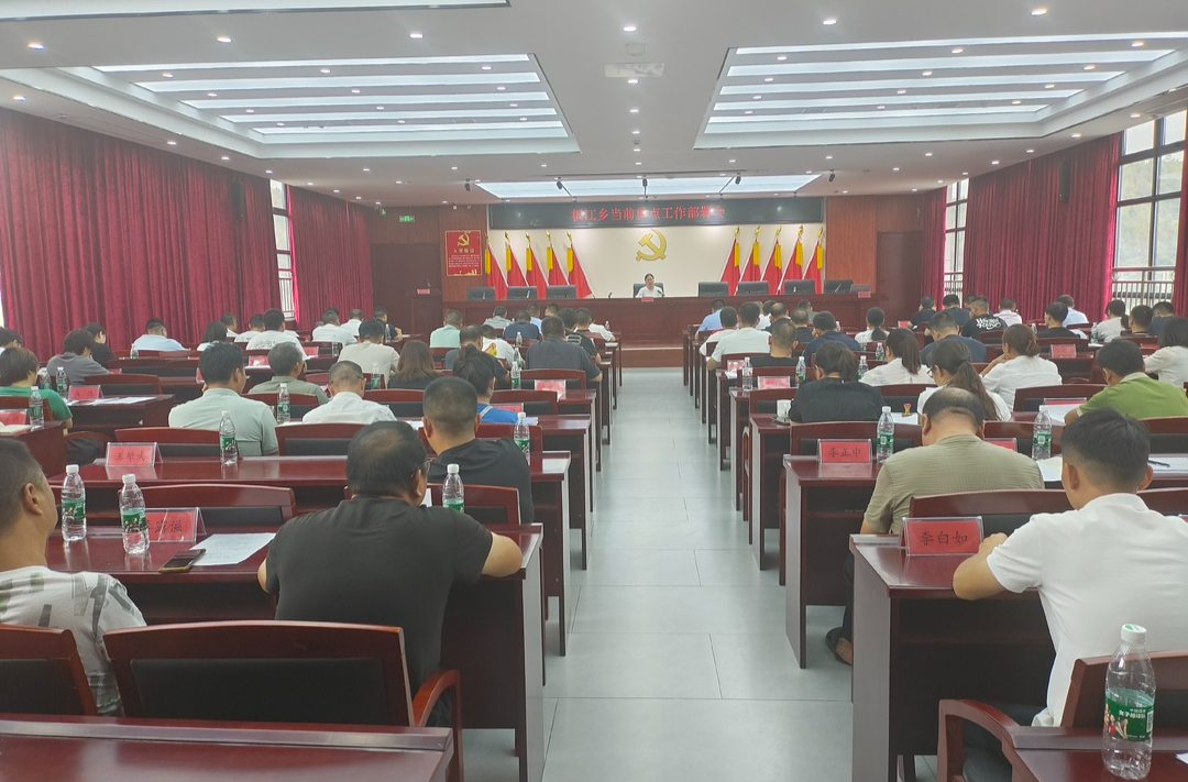 压实责任聚合力，勇毅前行守初心——板江乡召开当前重点工作部署会