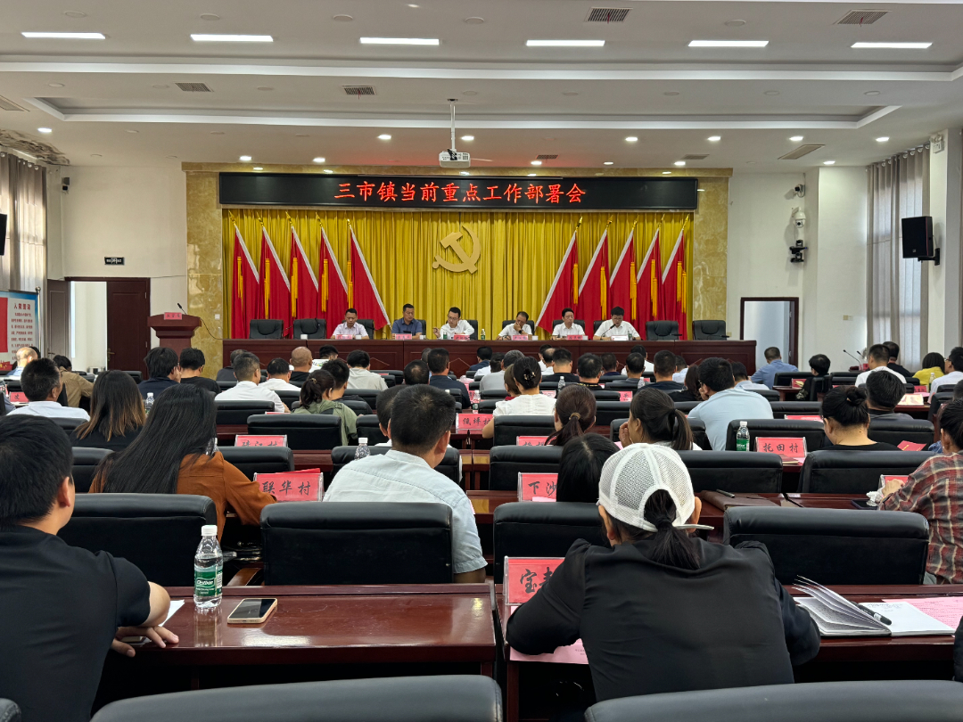 三市镇召开当前重点工作部署会暨2025年医保工作宣传培训会