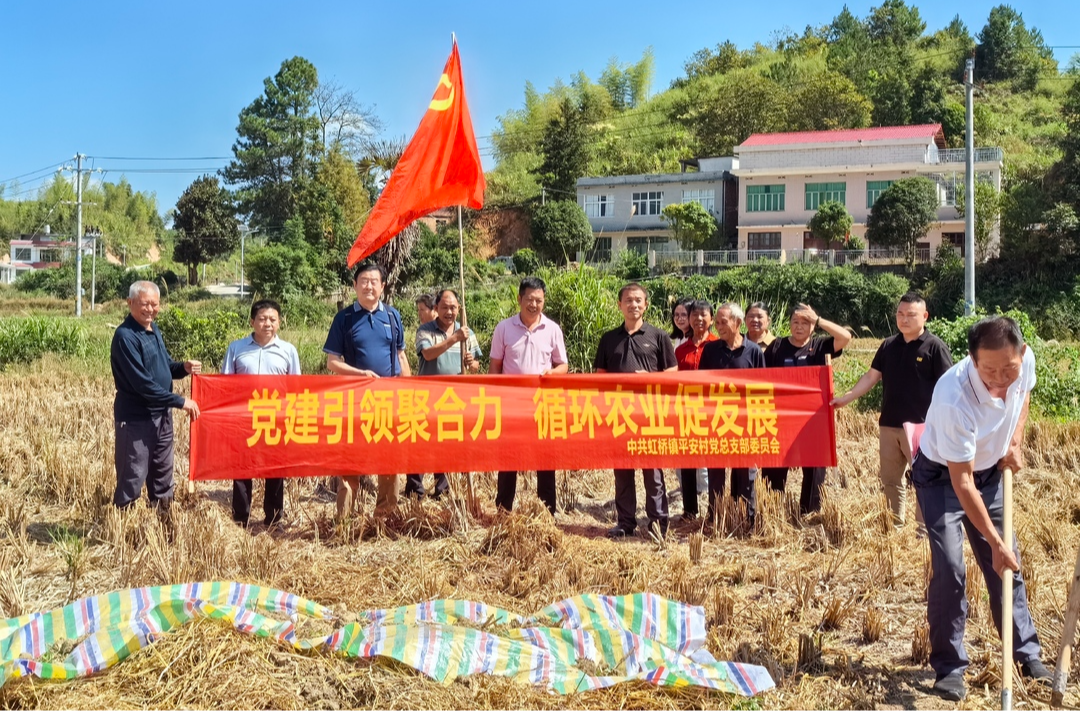 【四色党建，深化蓝色治理】“秸”尽全力，防患未“燃”——平安村组织开展“秸秆堆肥”主题党日活动