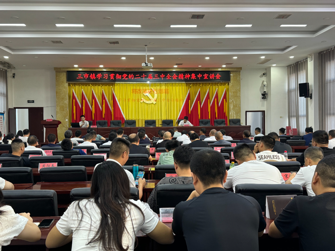 三市镇举行学习贯彻党的二十届三中全会精神集中宣讲会