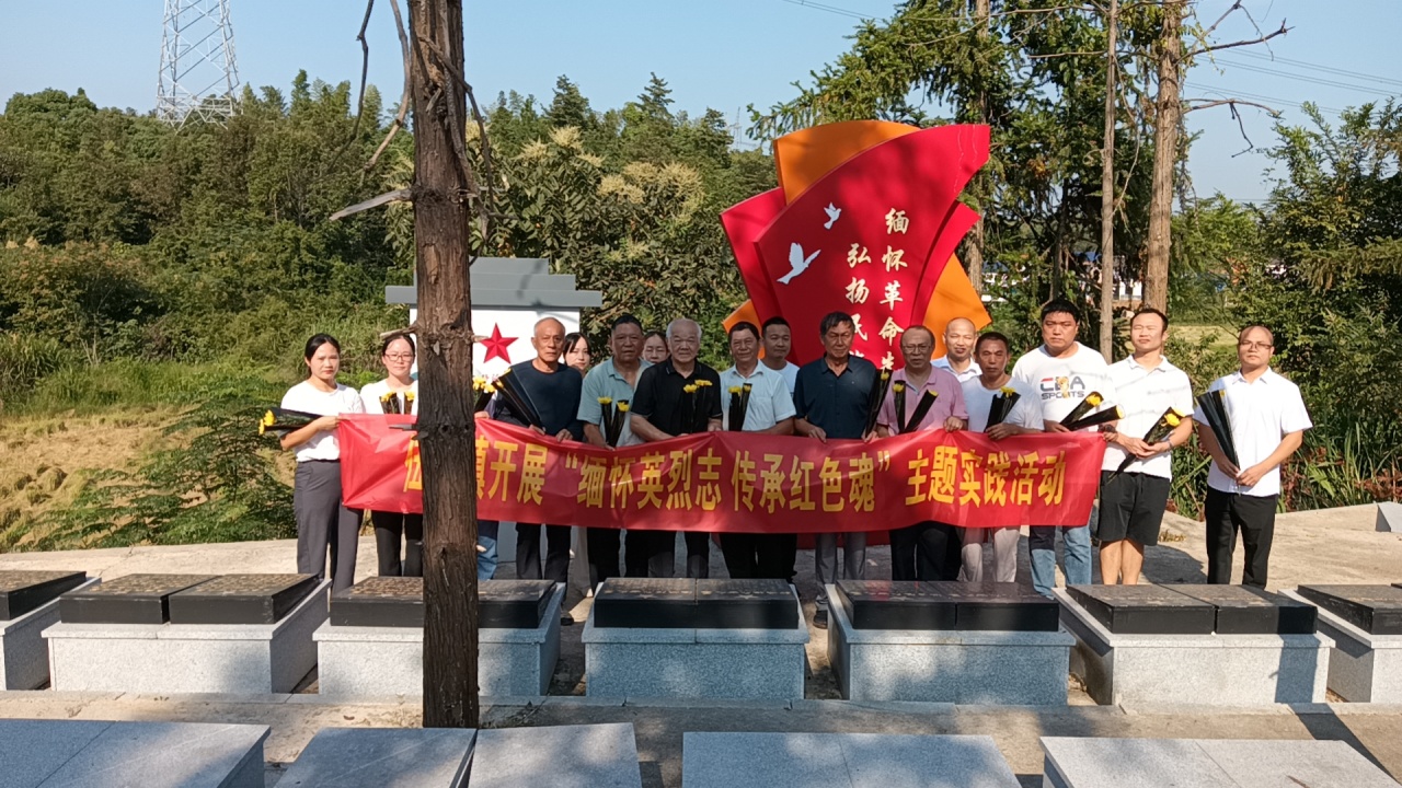 缅怀先烈，致敬英雄——伍市镇开展烈士纪念活动