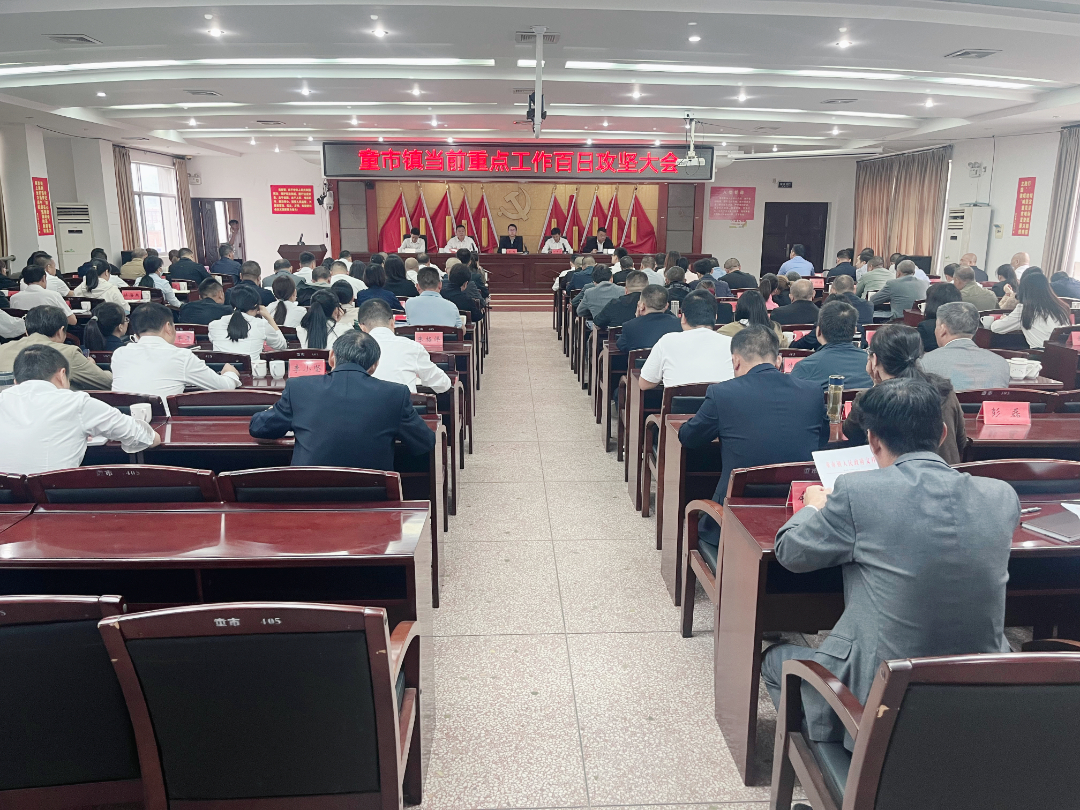一群人一条心一起干一定赢——童市镇召开当前重点工作百日攻坚大会