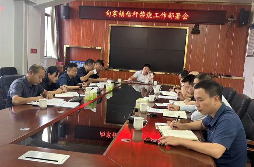“秸”尽全力，防患未“燃”，向家镇开展秸秆禁烧行动