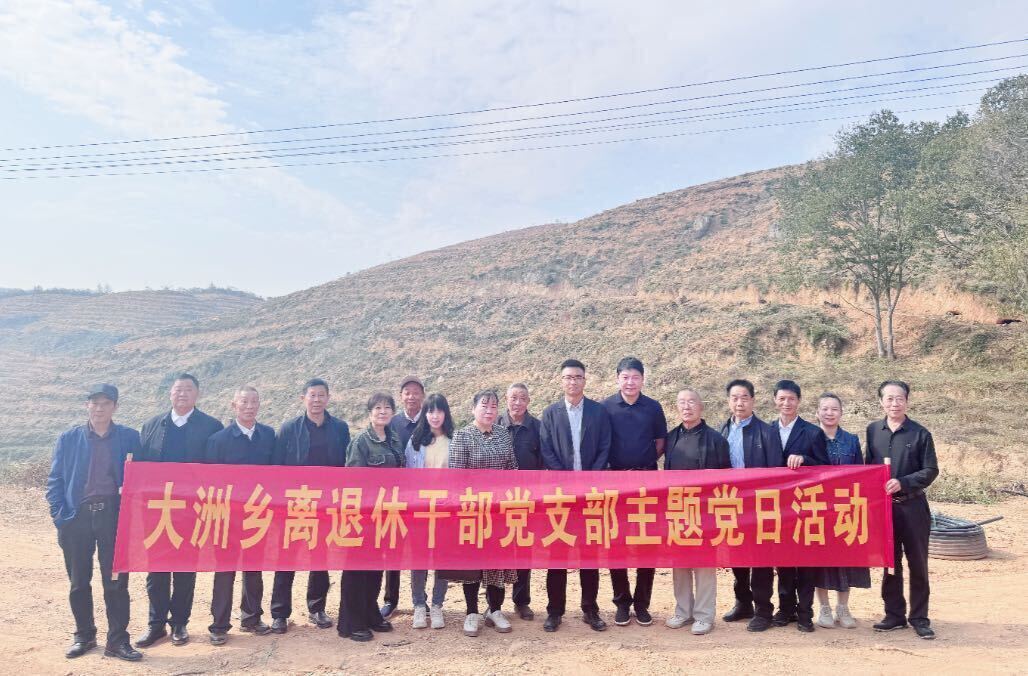 情暖重阳，喜看发展——大洲乡组织离退休干部开展主题党日活动