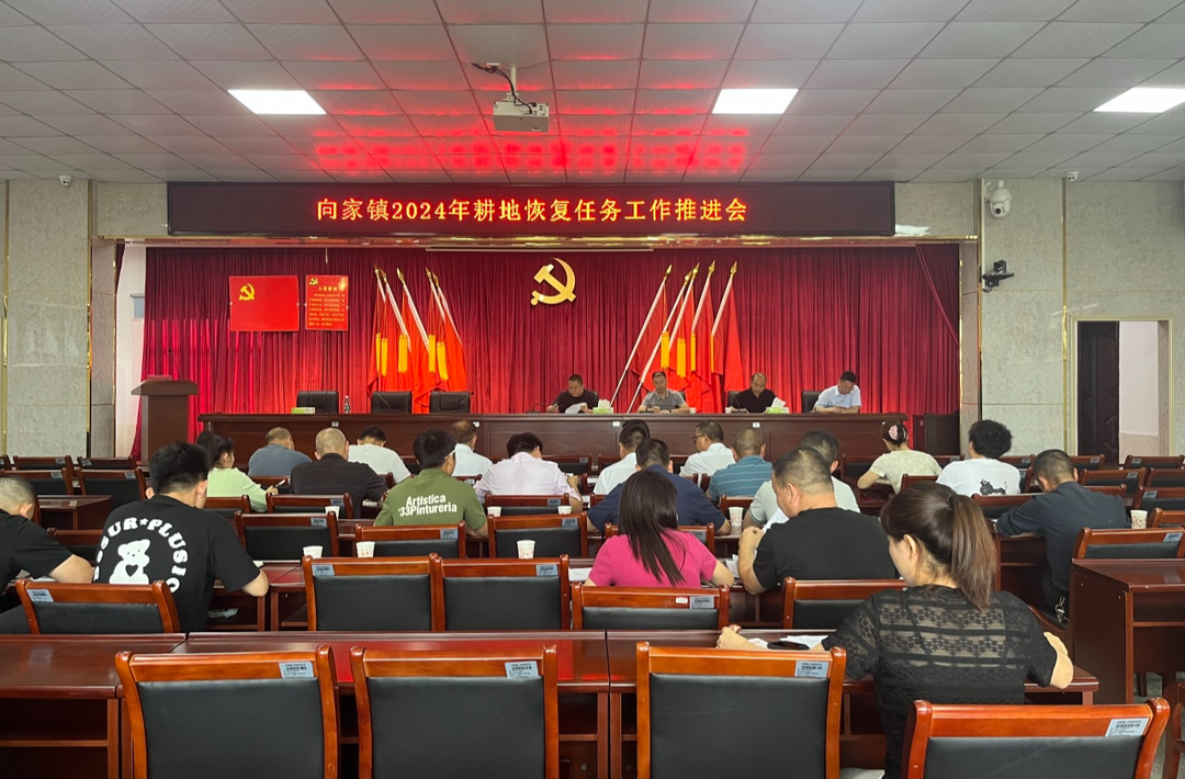 “恢复耕地，守护粮食安全”，向家镇在行动