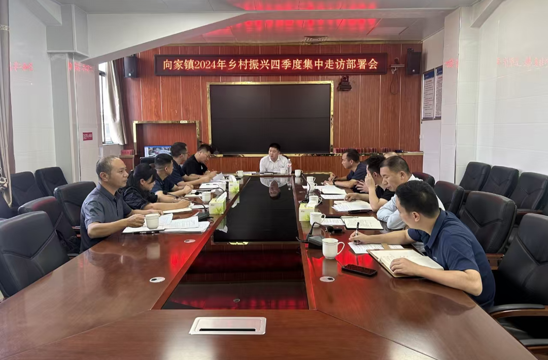 向家镇开展集中走访，打赢乡村振兴迎检 “主动战”