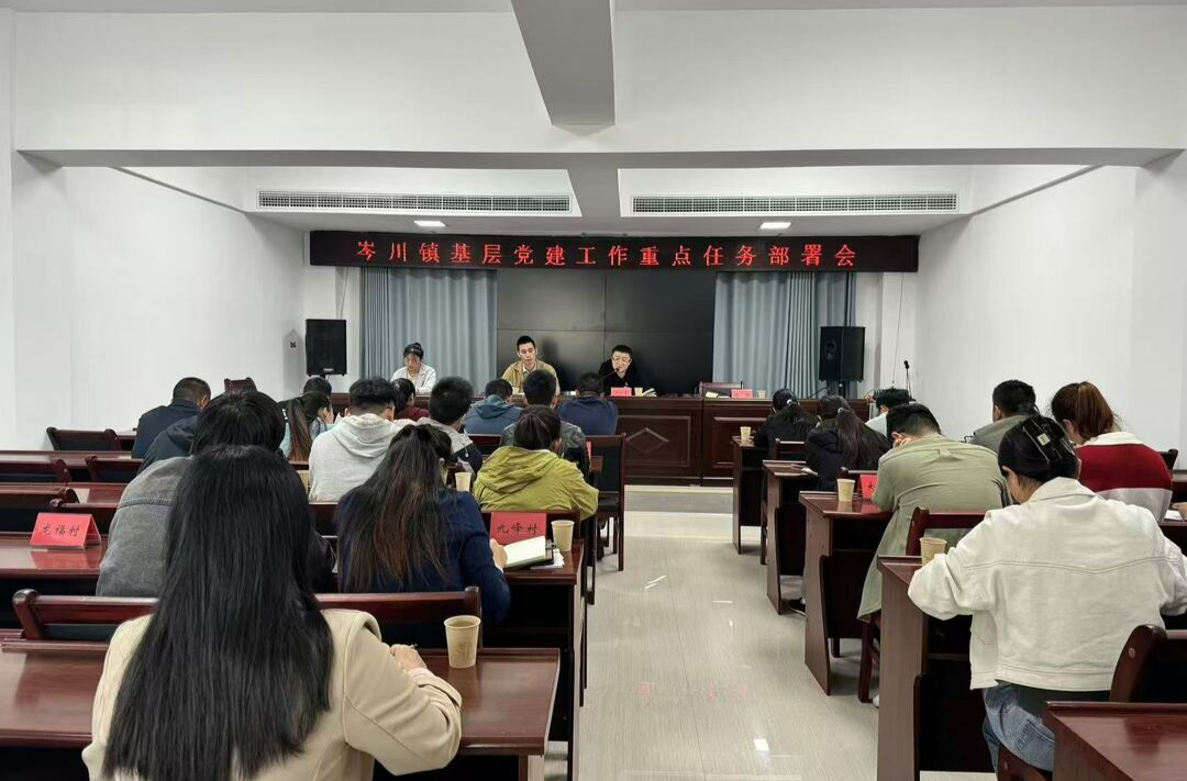 岑川镇召开全镇基层党建工作重点任务部署会