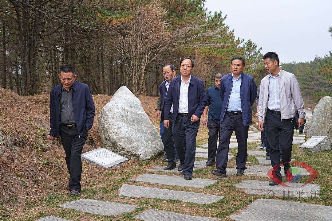 刘启峰来我县开展巡林并调研幕阜山文旅项目建设工作