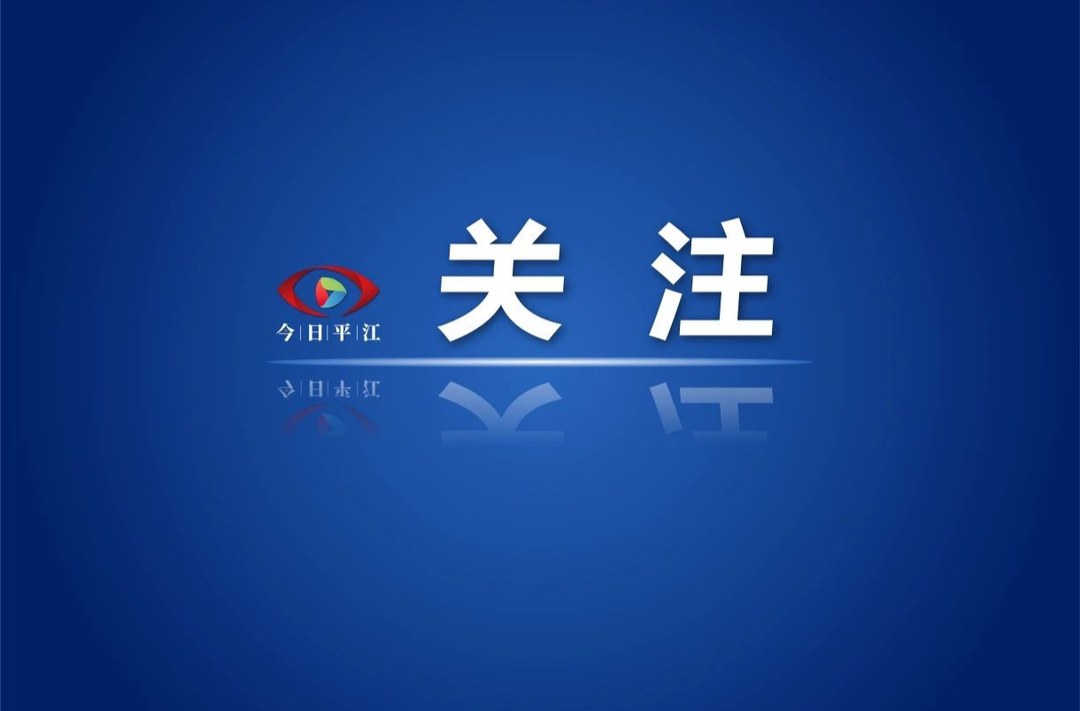 “平江辣条LOGO”品牌标识评选结果公告