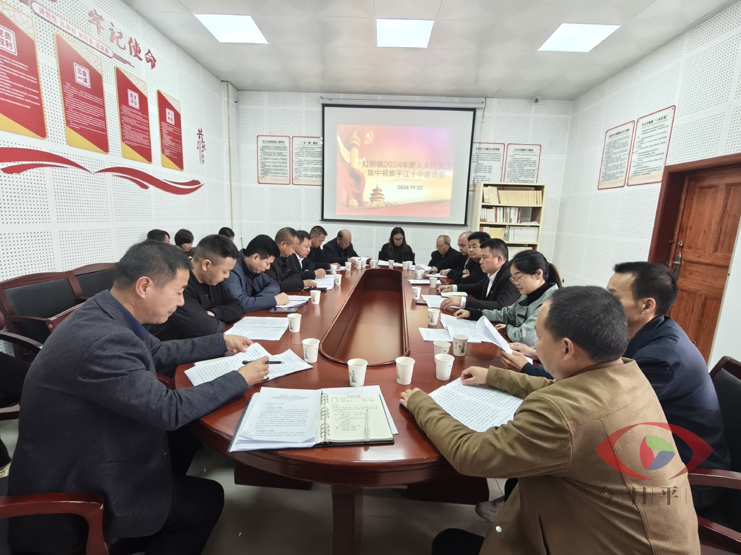 虹桥镇人大主席团调研之行：聚焦民生，共话发展