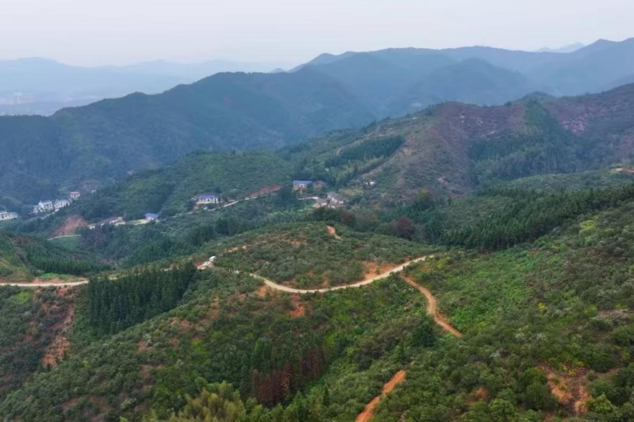 油海三墩党旗红，绿色发展谱新篇