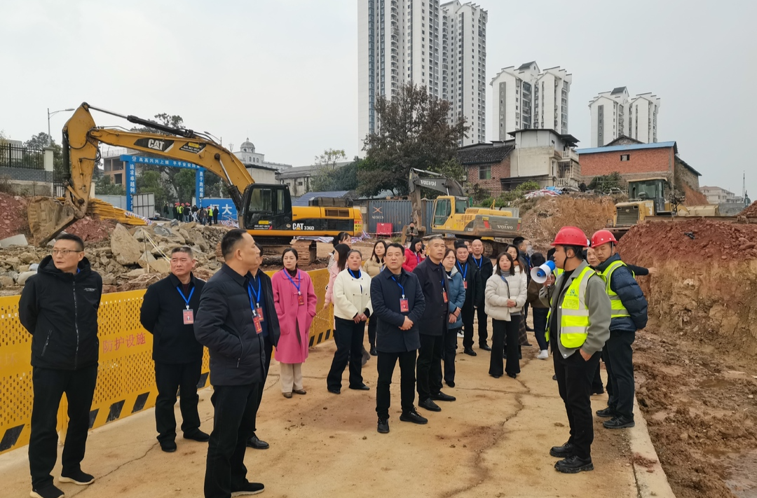 汉昌街道： 组织人大代表和政协委员开展视察座谈活动