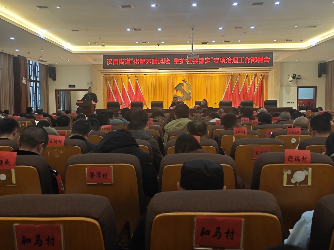 汉昌街道：召开“化解风险矛盾 维护社会稳定”专项治理工作部署会