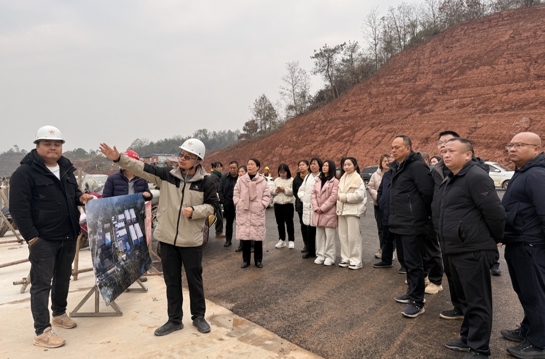 以“视”为镜  以“察”促效——天岳街道组织开展“两代表一委员”视察活动