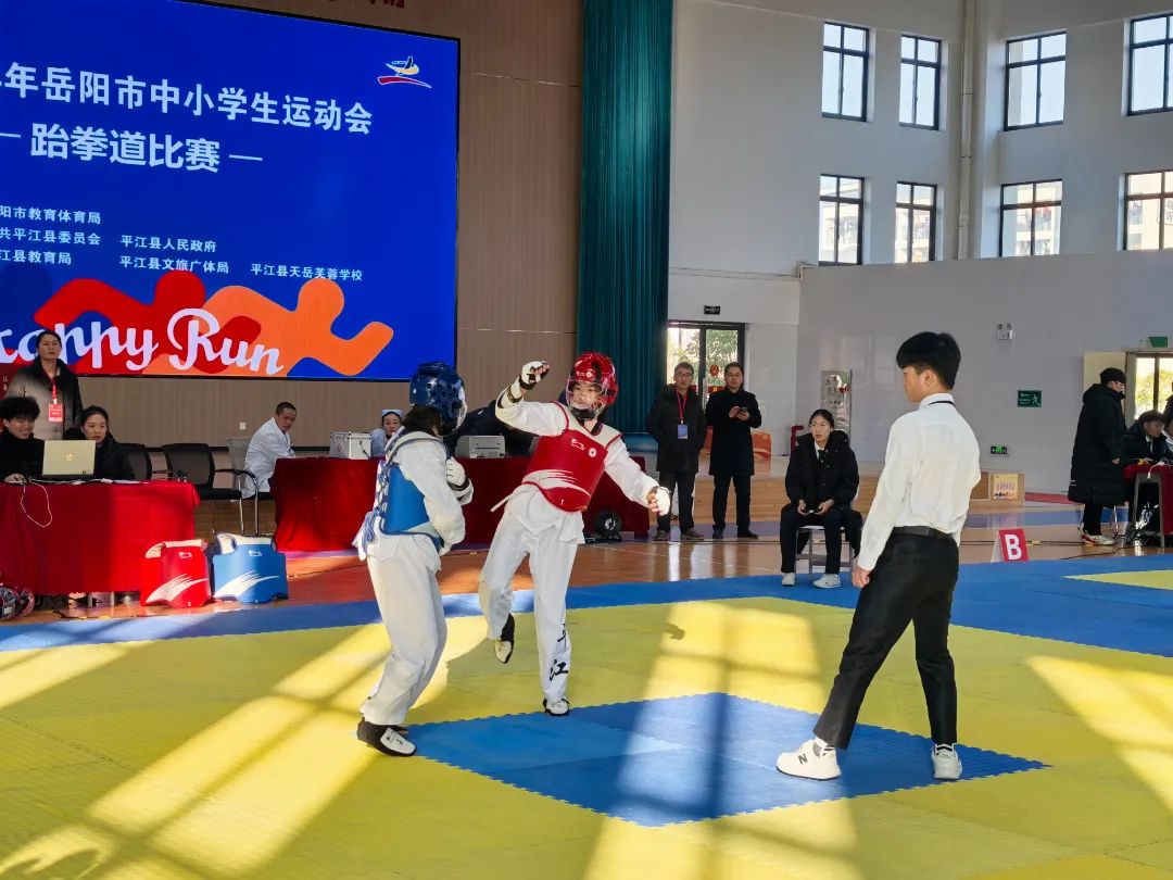 【2024年岳阳市中小学运动会】跆拳少年热血比拼，天岳芙蓉铸就荣耀赛场