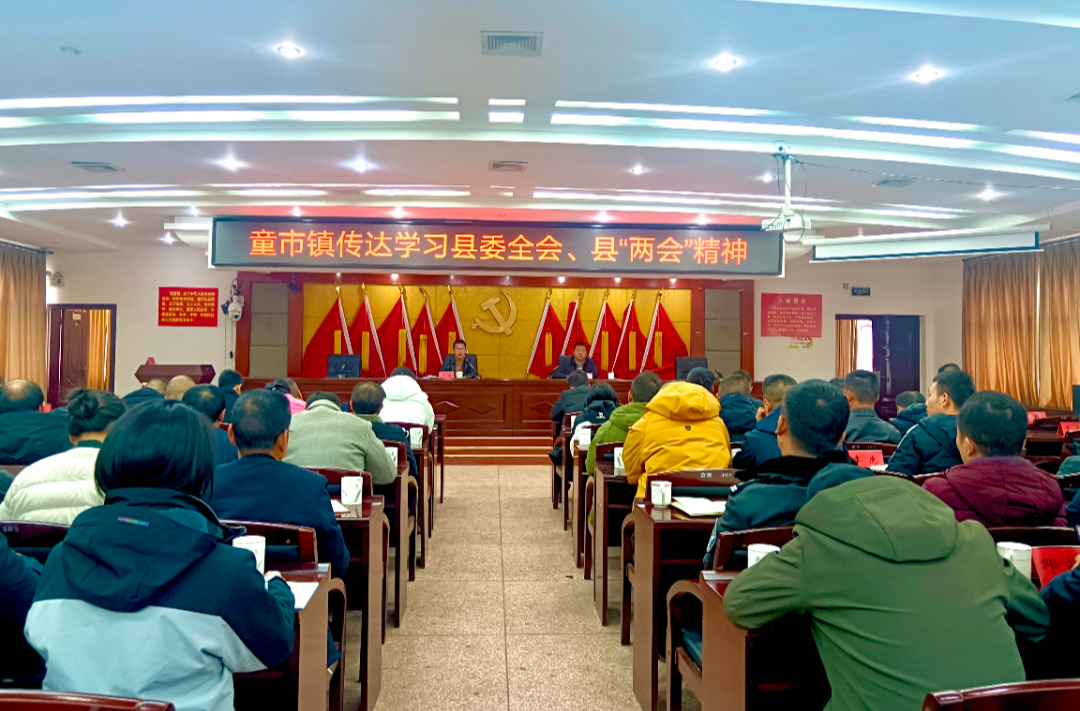 童市镇：传达学习县委全会、县“两会”会议精神