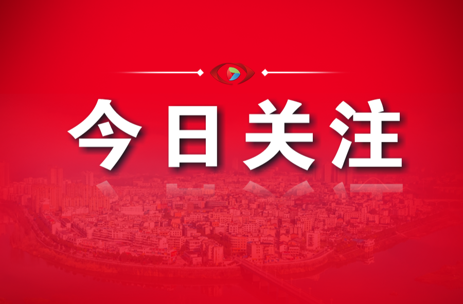 两会胜利闭幕！代表委员满怀信心再出发