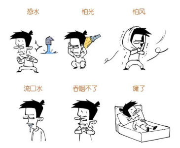 认识狂犬病  筑牢生命安全防线