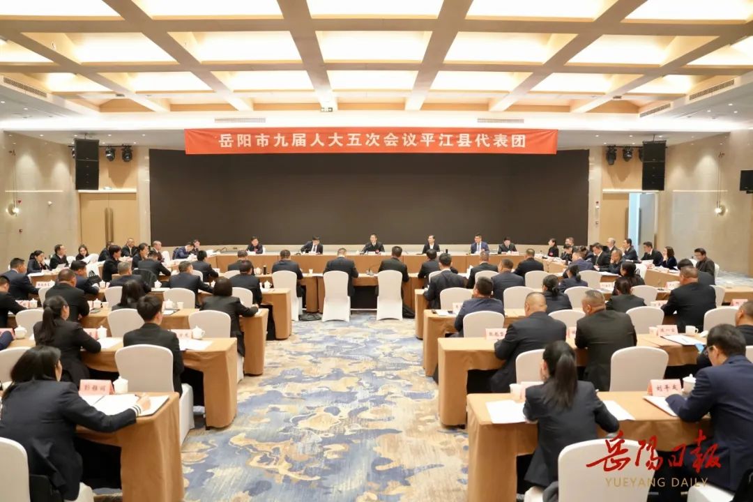 谢卫江参加平江县代表团审议
