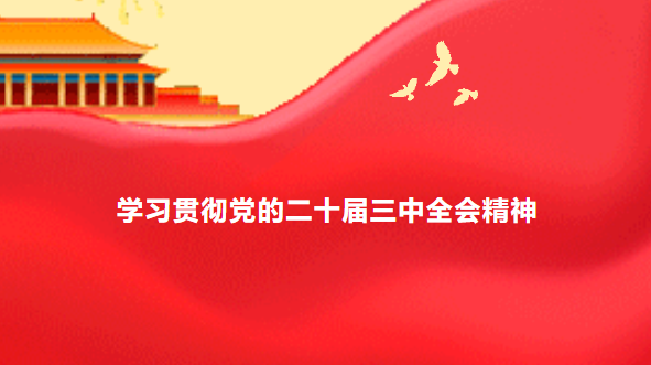 学习贯彻落实党的二十届三中全会精神