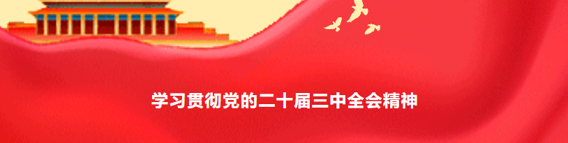 学习贯彻落实党的二十届三中全会精神