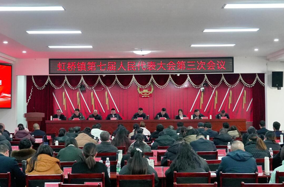 踔厉奋发担使命 笃行不怠启新程——虹桥镇第七届人民代表大会第三次会议胜利召开