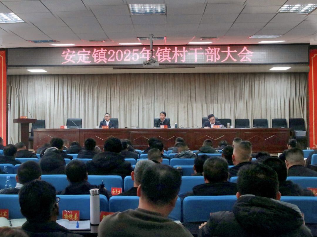 踔厉奋发谱华章，勇毅前行开新局：安定镇召开2025年镇村干部大会