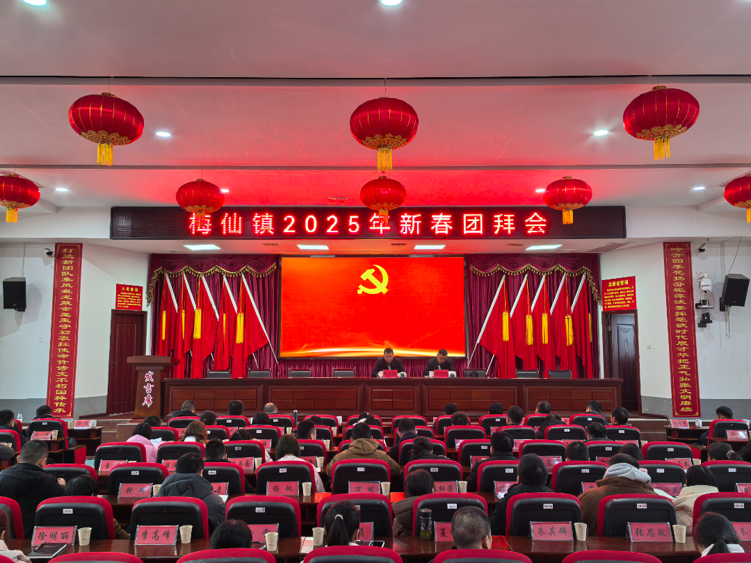 春潮涌动风帆劲 笃行不怠启新程——梅仙镇召开2025年新春团拜会