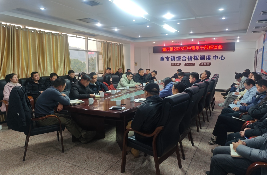 凝干部力量 谋镇域发展——童市镇2025年中青年干部座谈会