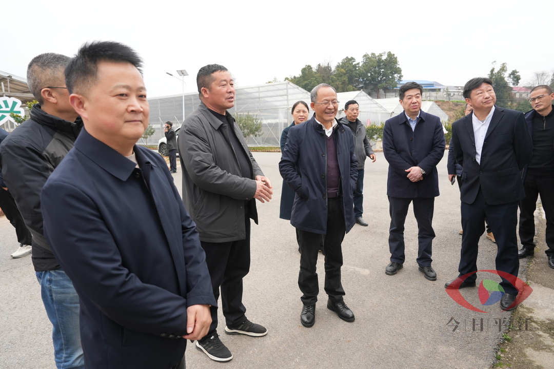 兰定国来我县调研指导春季农业生产工作