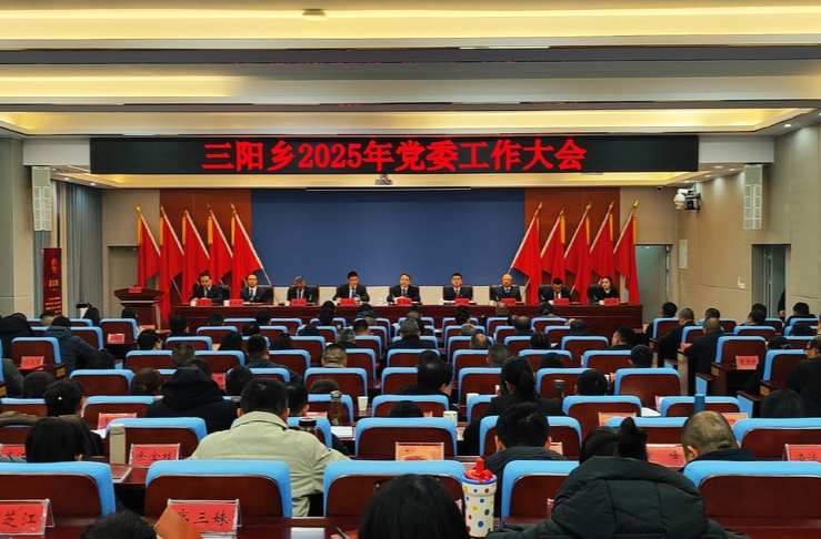 凝心聚力 砥砺奋进|三阳乡召开2025年党委工作大会