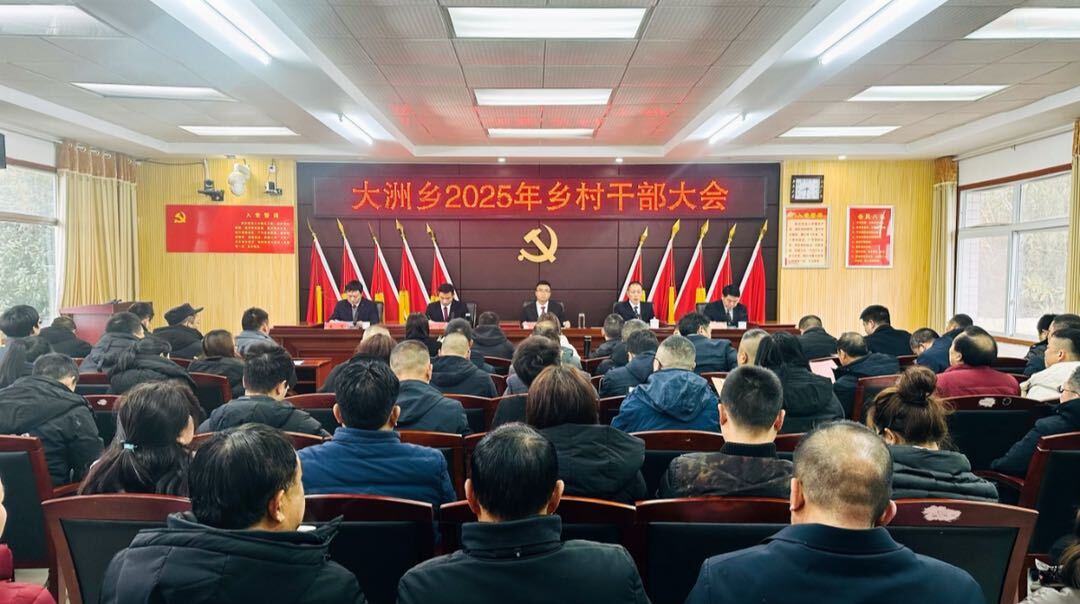 保持定力，务实求为！大洲乡召开2025年乡村干部大会