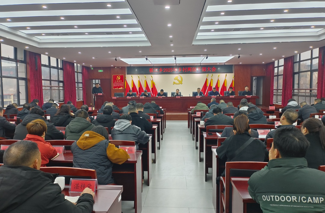凝心聚力创佳绩  勇毅前行启新章——板江乡召开2025年乡村两级干部大会