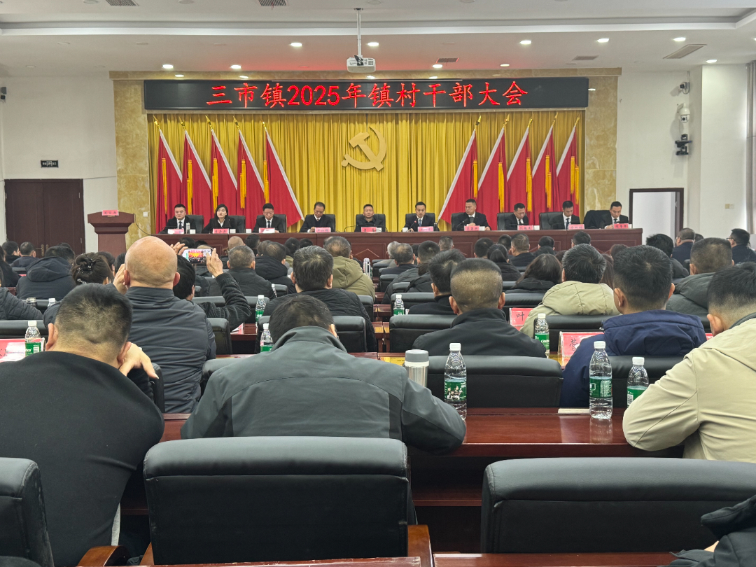启航新程，共绘新篇——三市镇召开2025年镇村干部大会