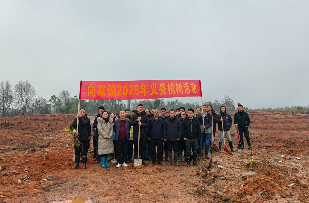 向家镇积极开展2025年义务植树活动，助力生态建设