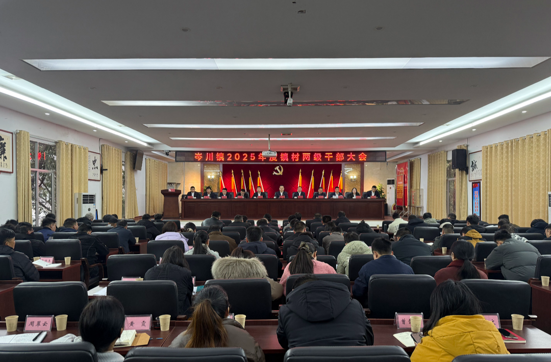 同心奋进创一流——岑川镇召开2025年度镇村两级干部大会