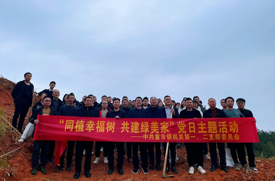 同植幸福树，共建绿美家——童市镇开展义务植树志愿服务活动