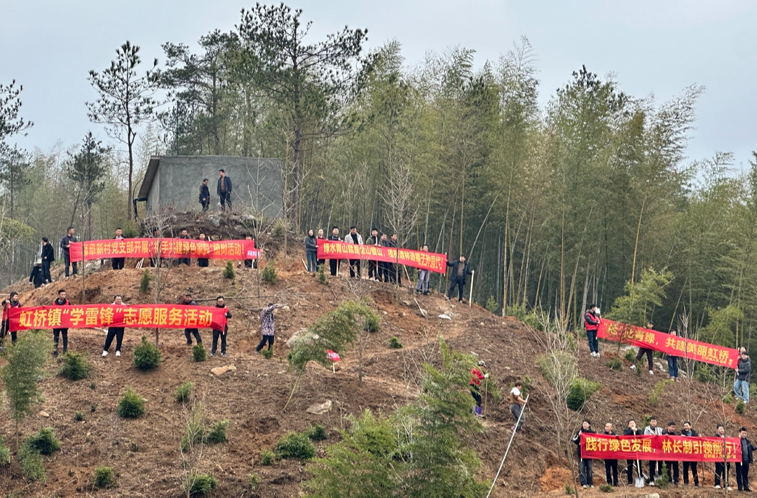 “植”此青绿 不负春光：虹桥镇开展义务植树活动