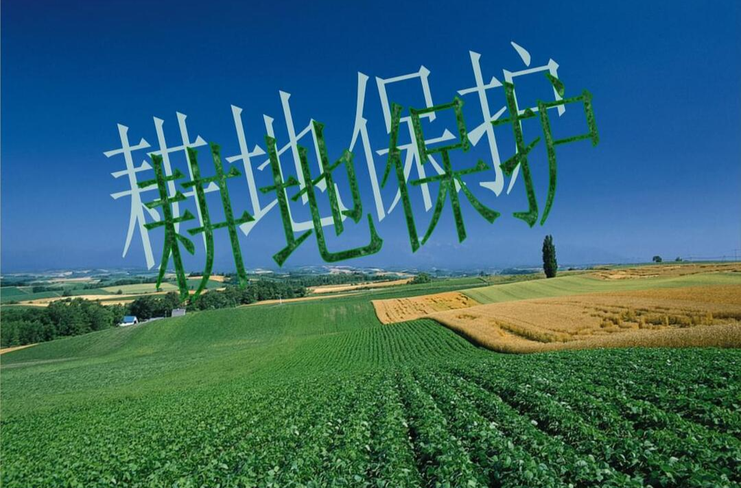梅仙镇耕地保护公开信