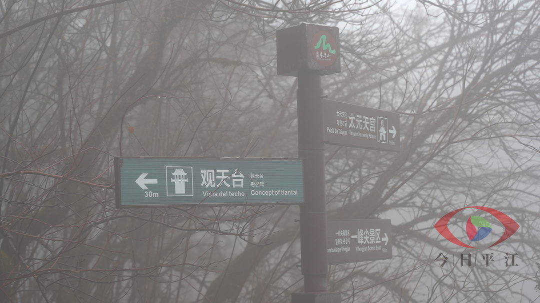 雾起幕阜，诗落云间！文学名家来平采风