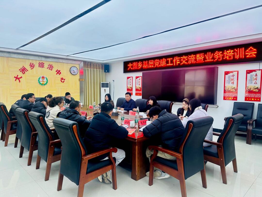 大洲乡召开2025年基层党建工作交流暨业务培训会