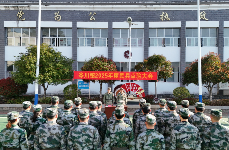 岑川镇举行2025年民兵点验大会暨森林防灭火、防汛、地质灾害应急演练