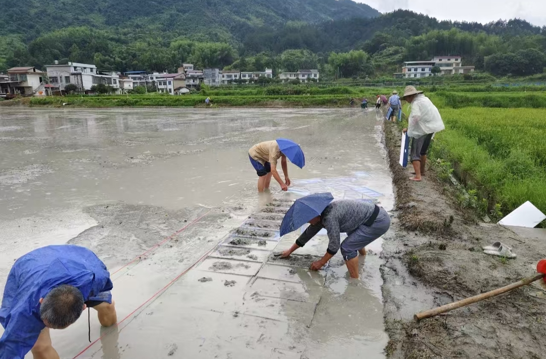 板江乡：不负农时不负春  多措并举备春耕
