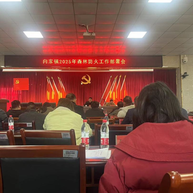 向家镇—“三举措”筑牢森林防火安全屏障