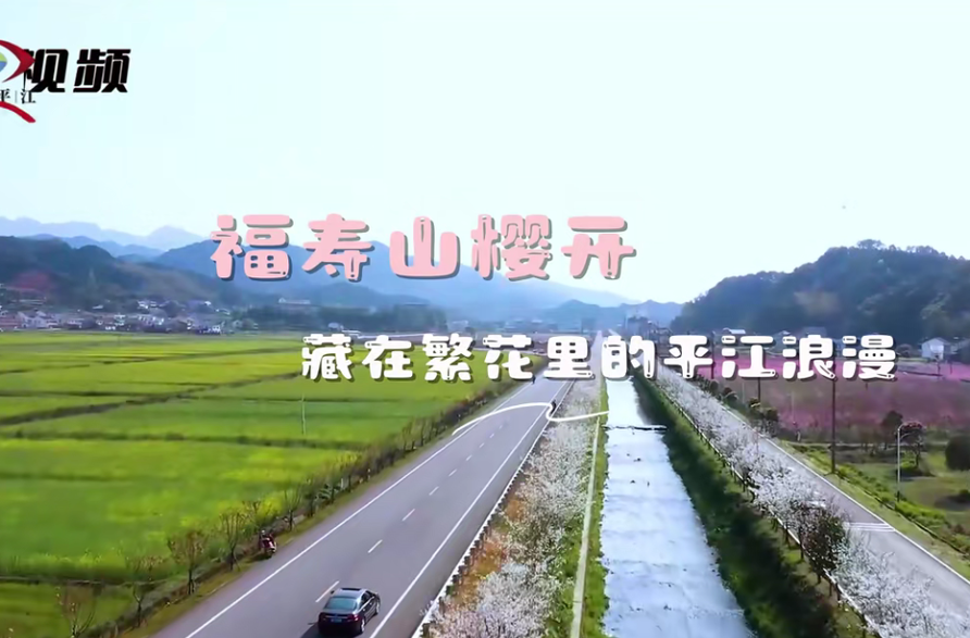 福寿山樱开：藏在繁花里的平江浪漫