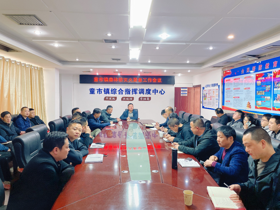 聚焦重点工作，服务民生实事——童市镇重点工作推进周
