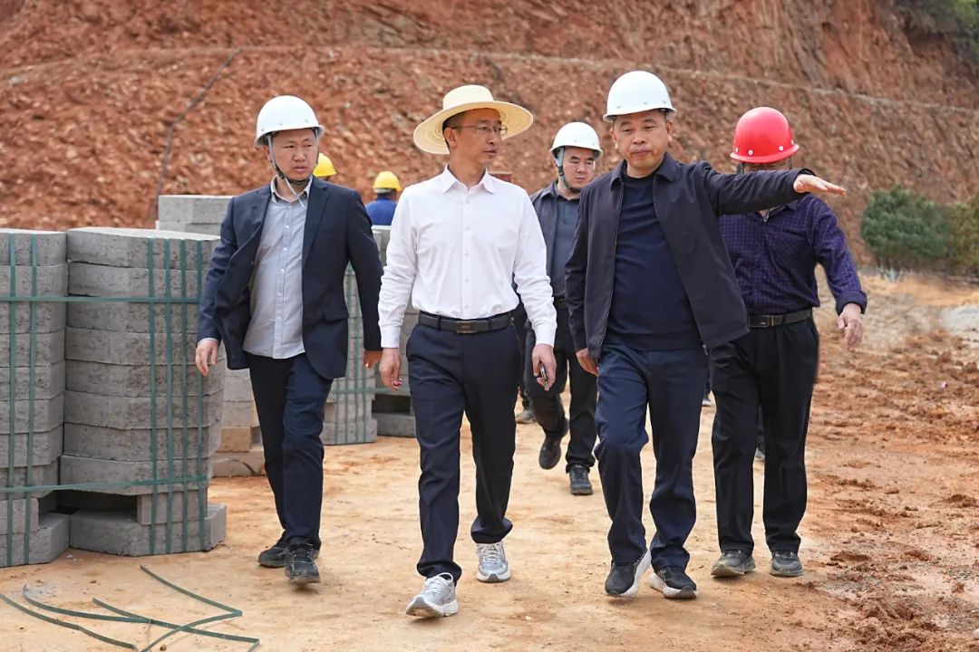 彭方建到乡镇调研督导防汛备汛和春耕生产工作