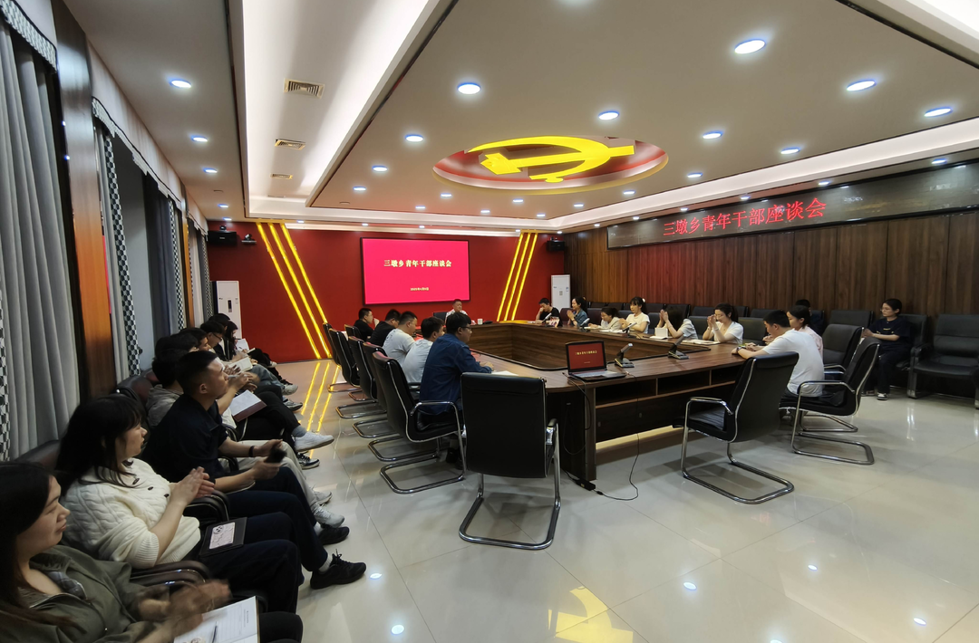 畅谈成长，勇担使命——三墩乡2025年青年干部座谈会